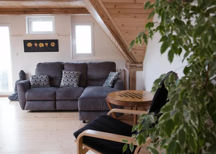 公寓 Art-house 3 Attic With Terrace 德辛