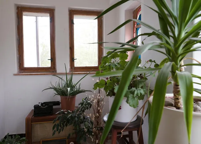 Art-house 3 Attic With Terrace * 德辛