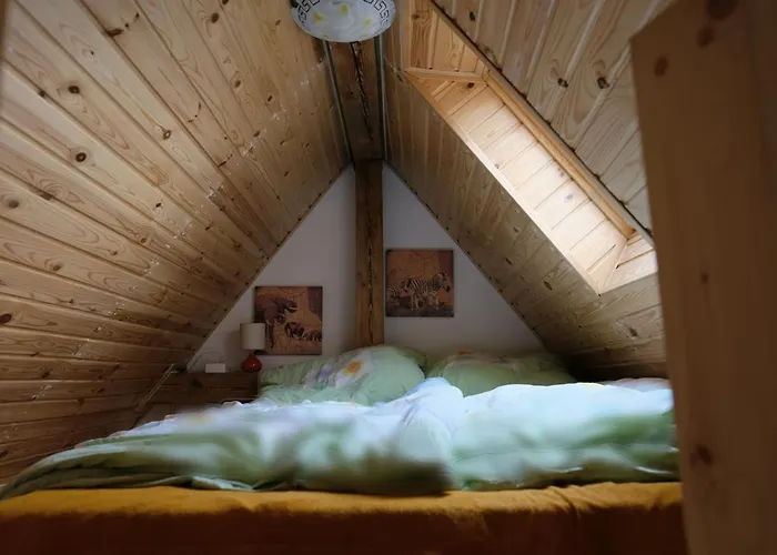 Art-house 3 Attic With Terrace 公寓 德辛